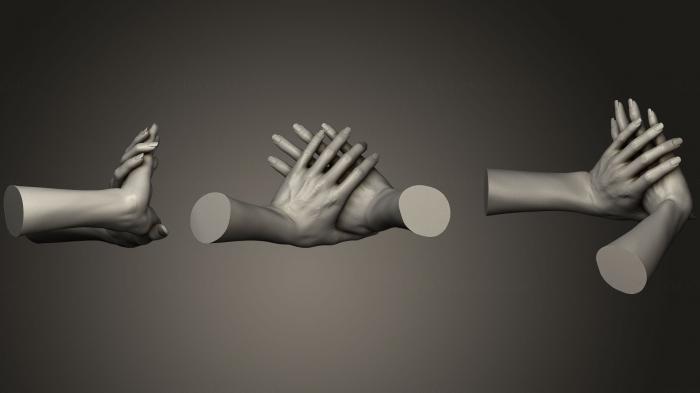 نموذج ثلاثي الأبعاد لآلة CNC تشريح الهياكل العظمية والجماجم أيدي الإناث 4